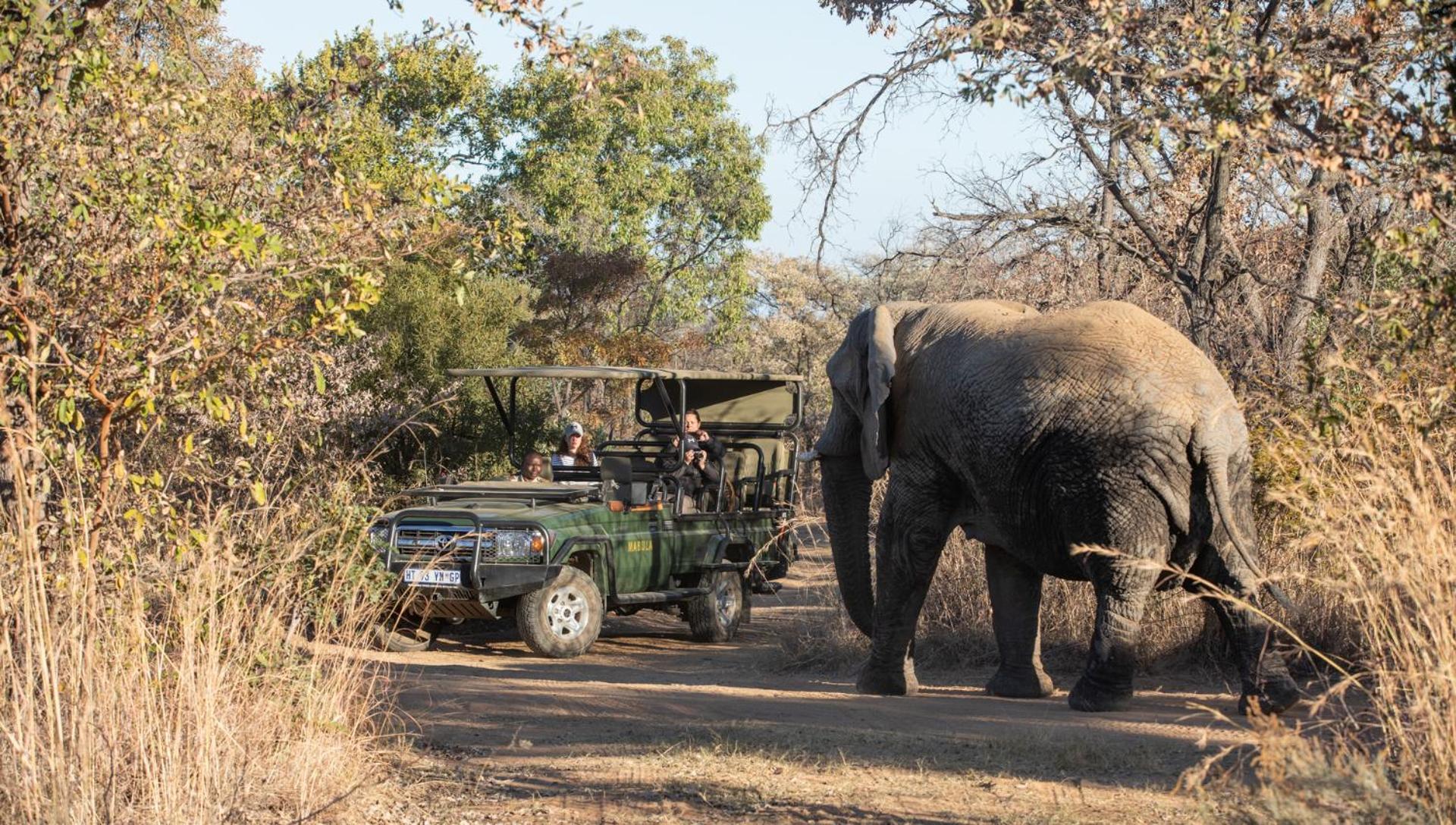 Game Lodge *