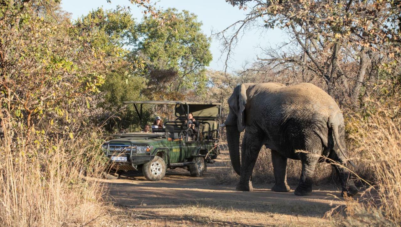 Lodge Game Mabula Game Reserve